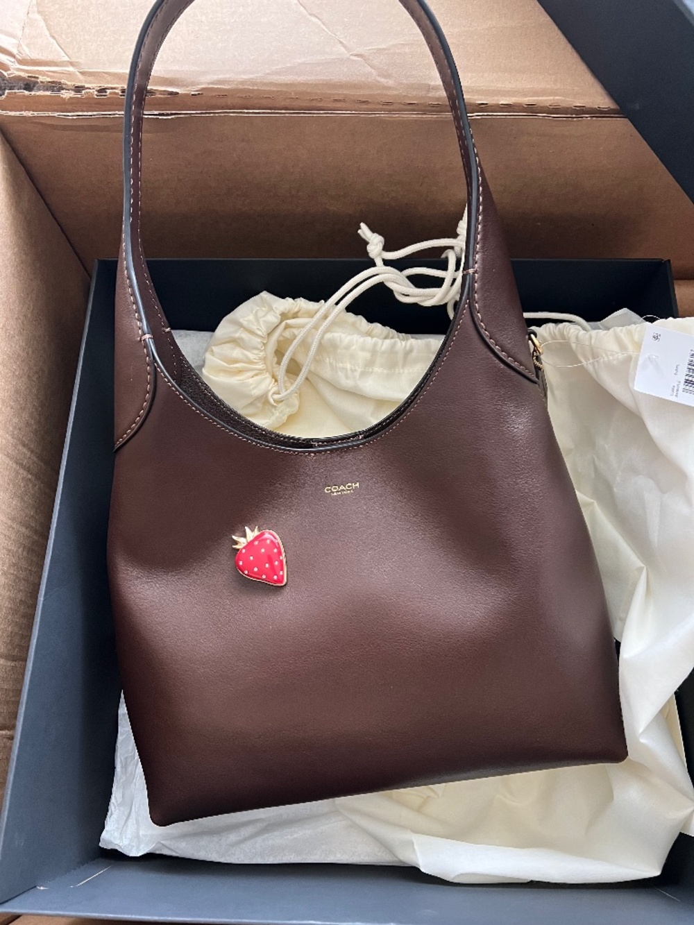 Brown Coach Brooklyn 28 Bag